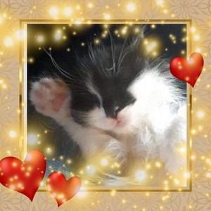 Meet your Posher, Terri